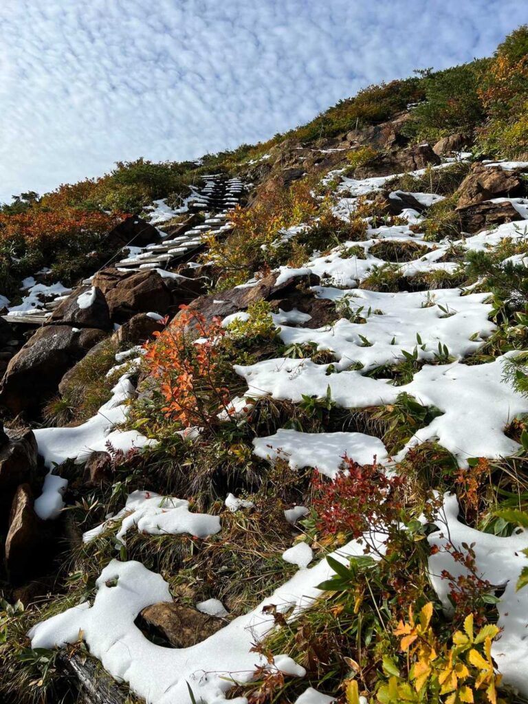 雪がちらほら出てくる