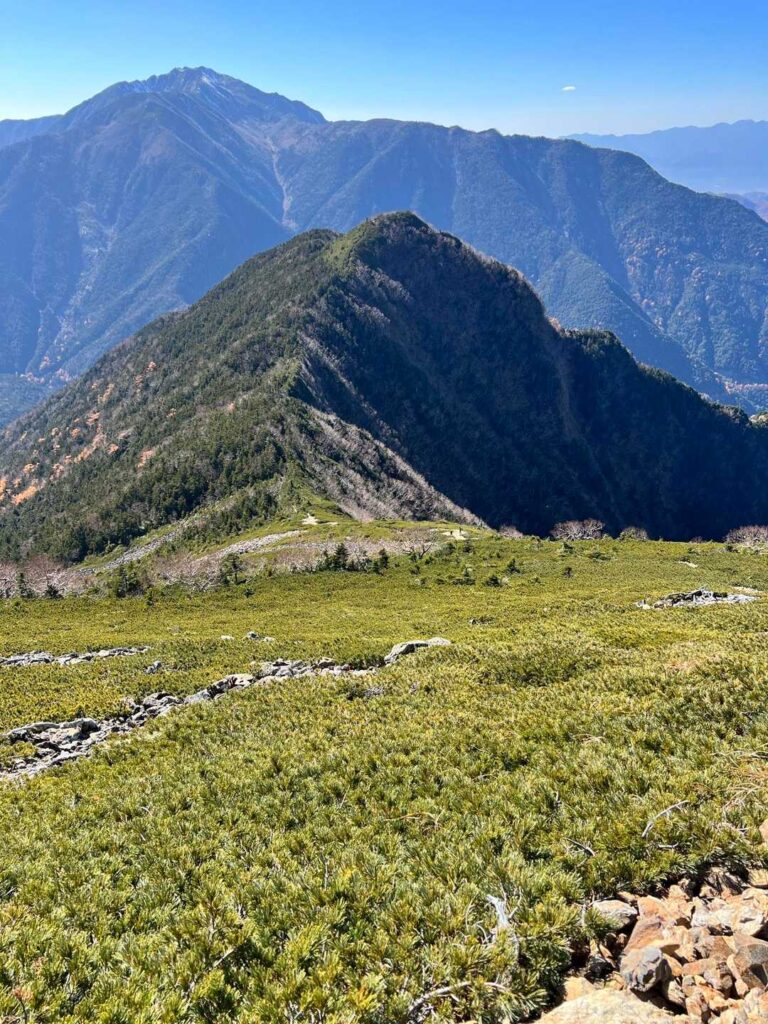 遠くに仙丈ヶ岳