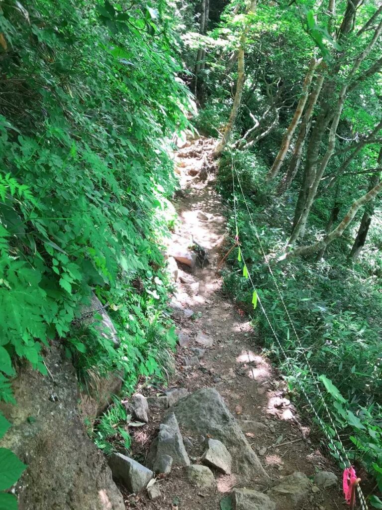 下山路から見下ろす景色