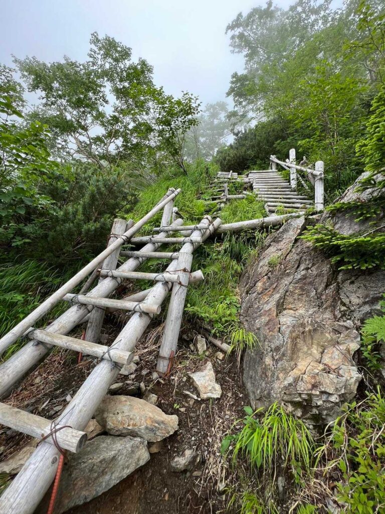 八本歯のコルの階段ハシゴゾーン