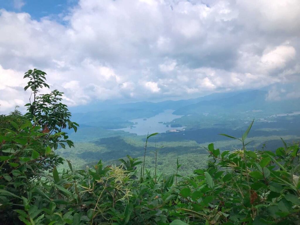 上から見たスケール感