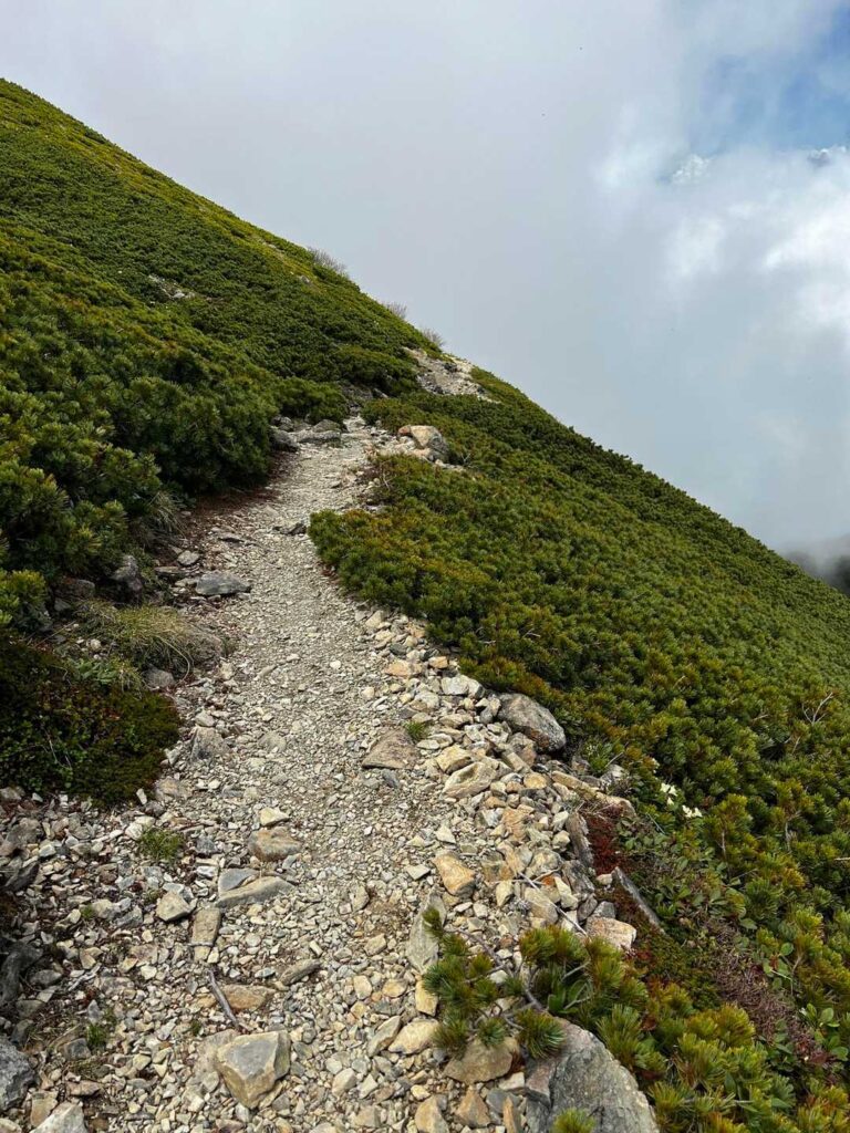 下山中の巻き道