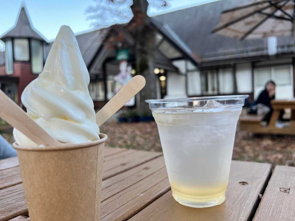 道の駅南アルプスむら長谷でソフトクリームと梅ジュース