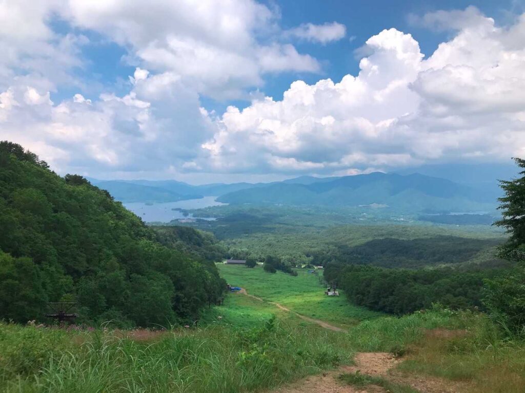 駐車場が見えてきた