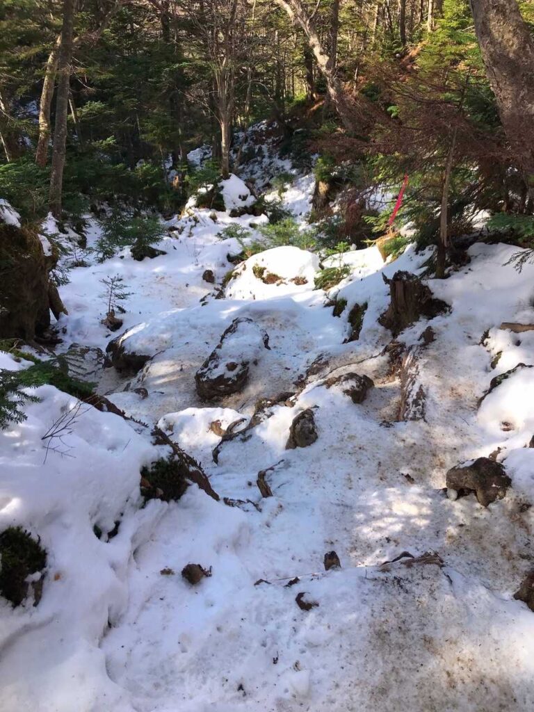 雪を抜けた先の道