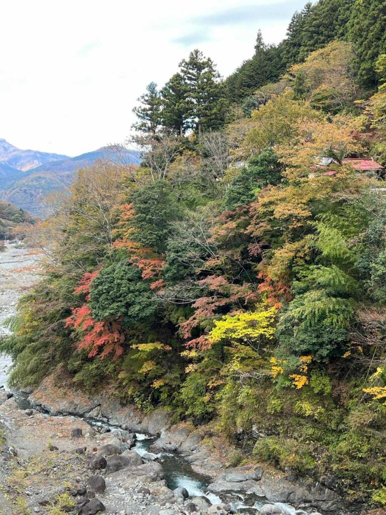 下山途中の紅葉