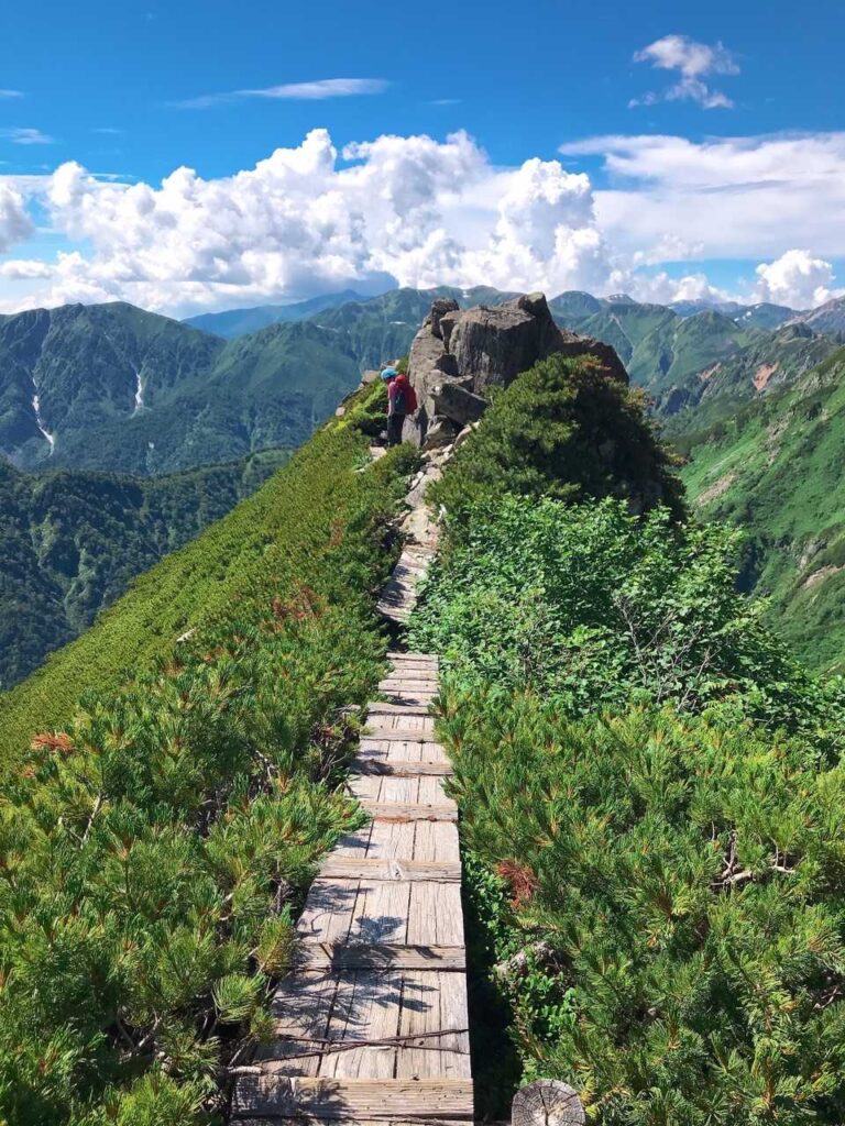 ミニ稜線。左右切れ落ちてます…