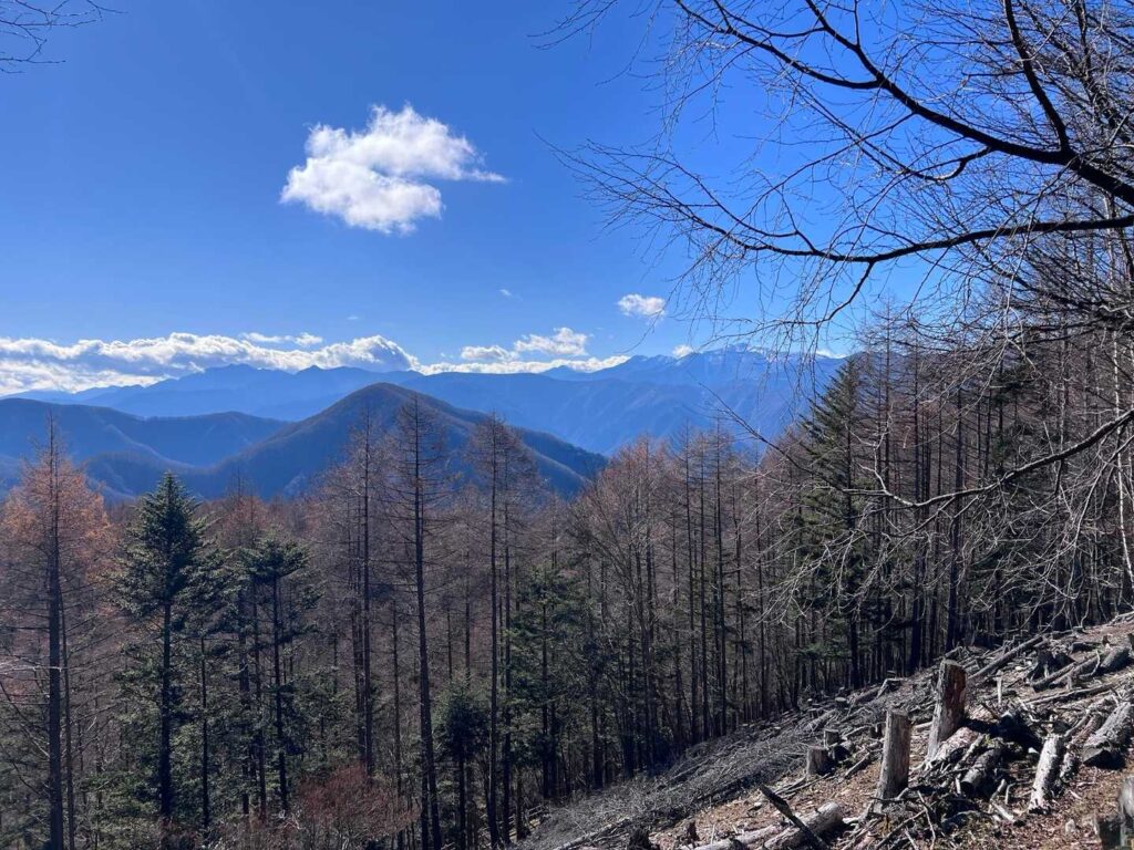 南アルプスの大パノラマ。感動