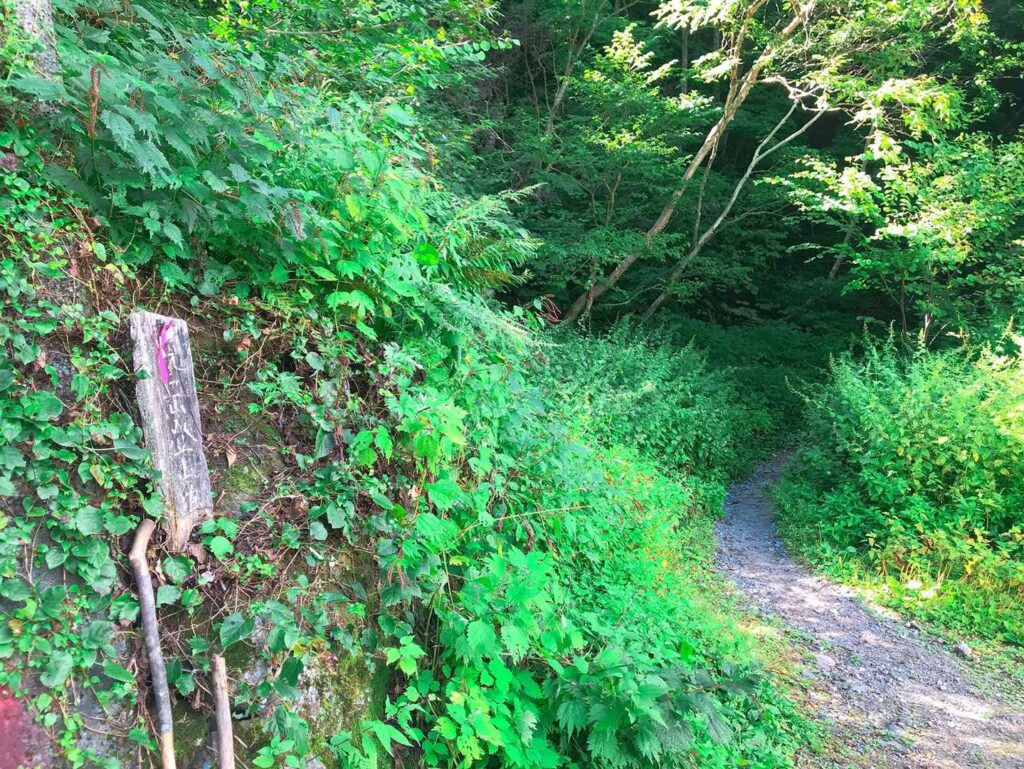 新中の湯登山口に帰還