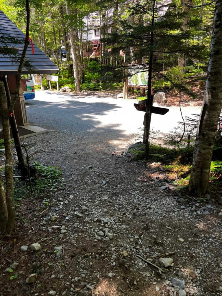 北沢峠に無事下山