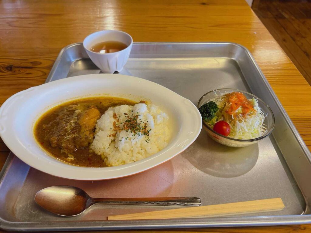 チキンインドカレーとサラダ