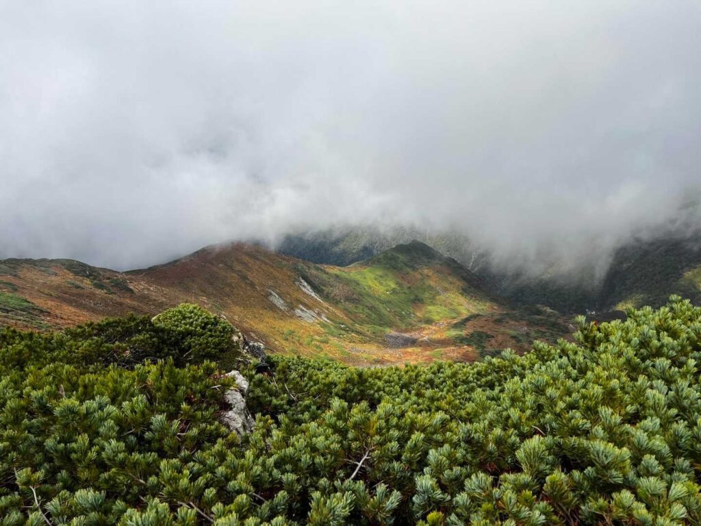 北カールの紅葉