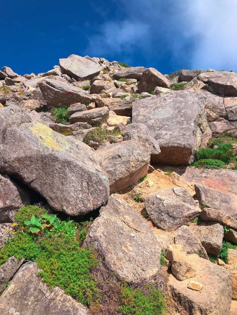 岩場をよじ登る