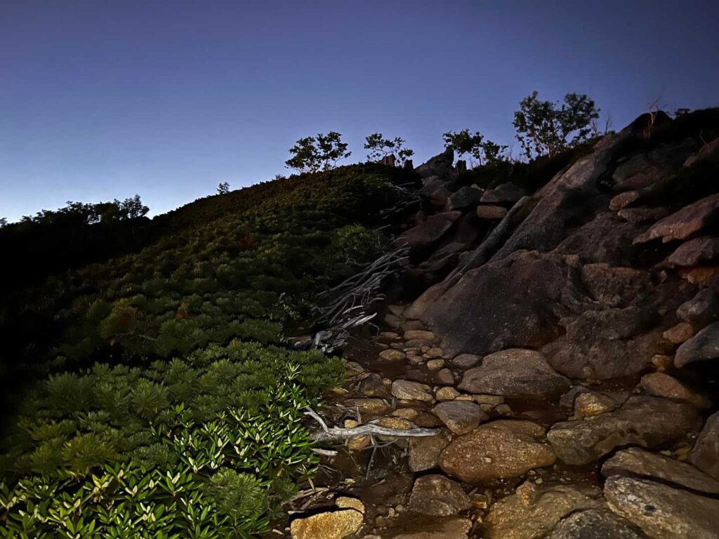 暗い中を直登していく