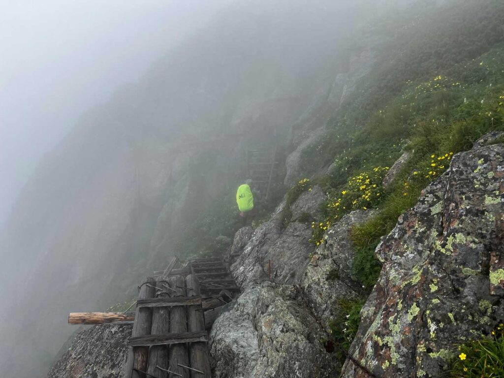 本格的に雨。右にお花、左に崖