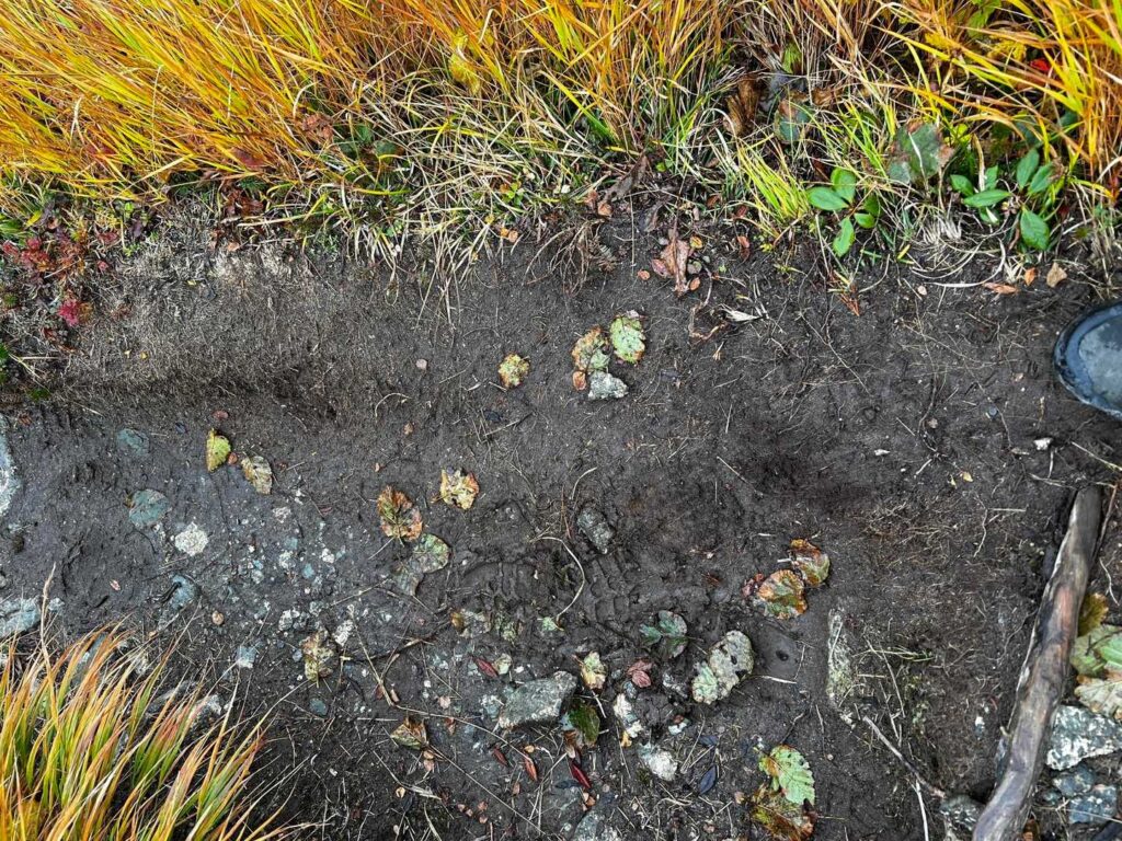 雹が降ってきた