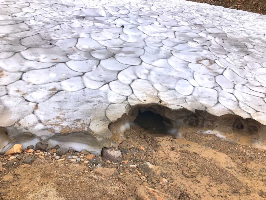キノコのような雪のような不思議なもの