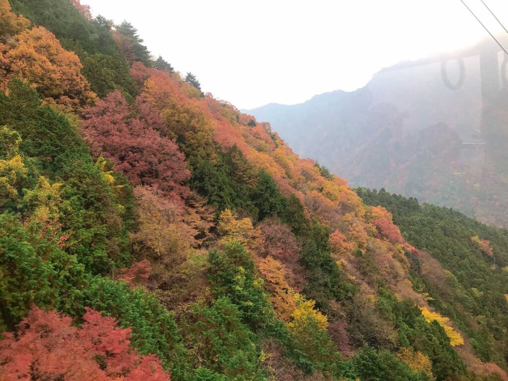 下山途中の紅葉がきれい