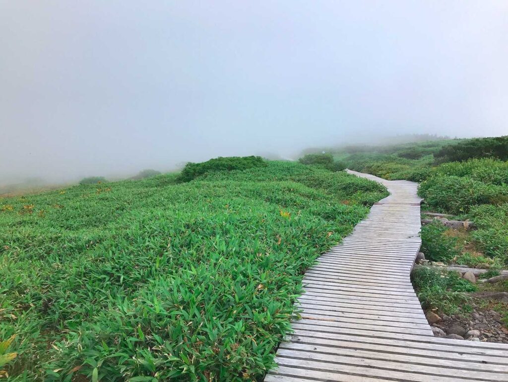 下山開始、ガスの中へ