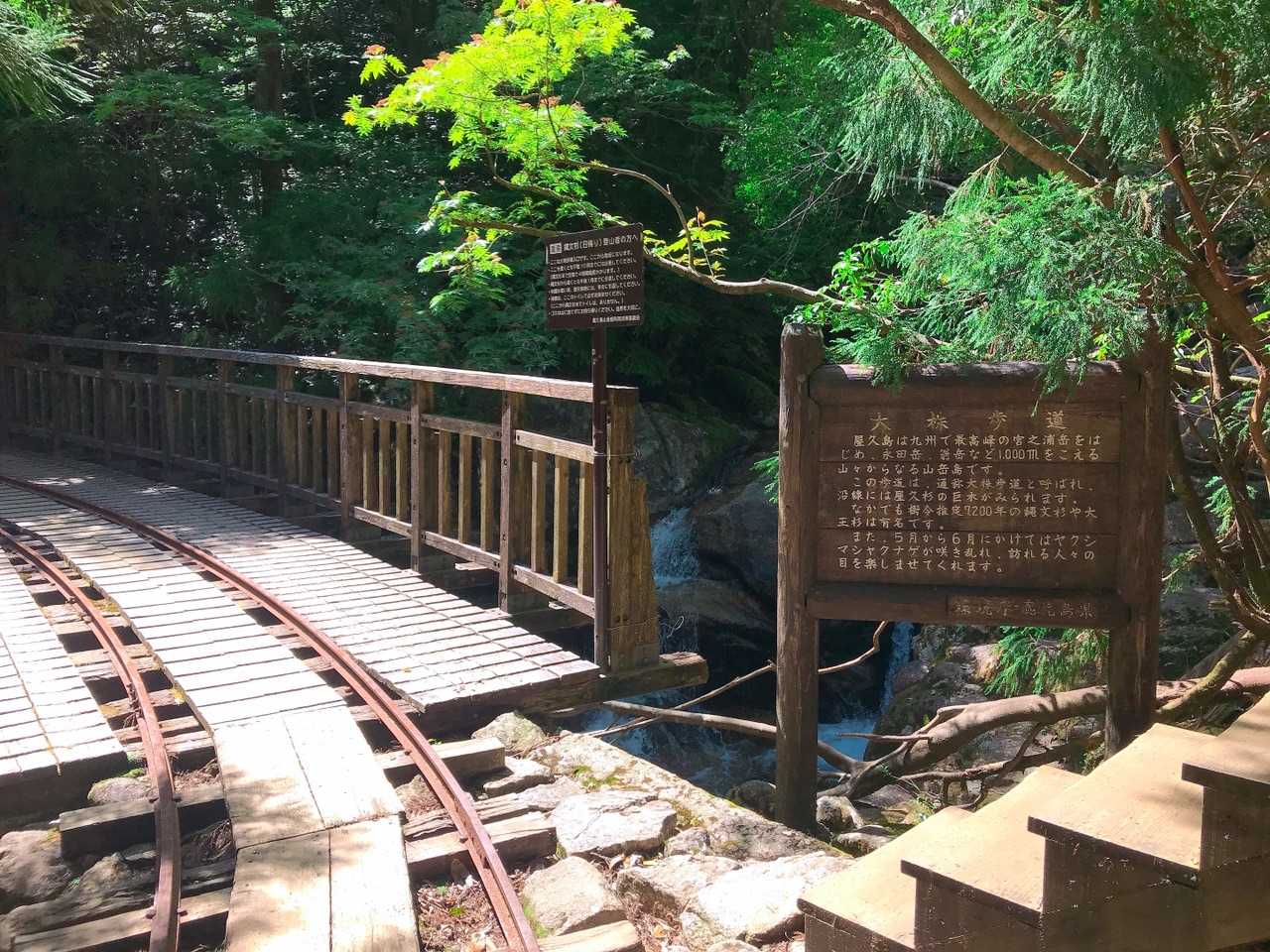 トロッコ道に合流