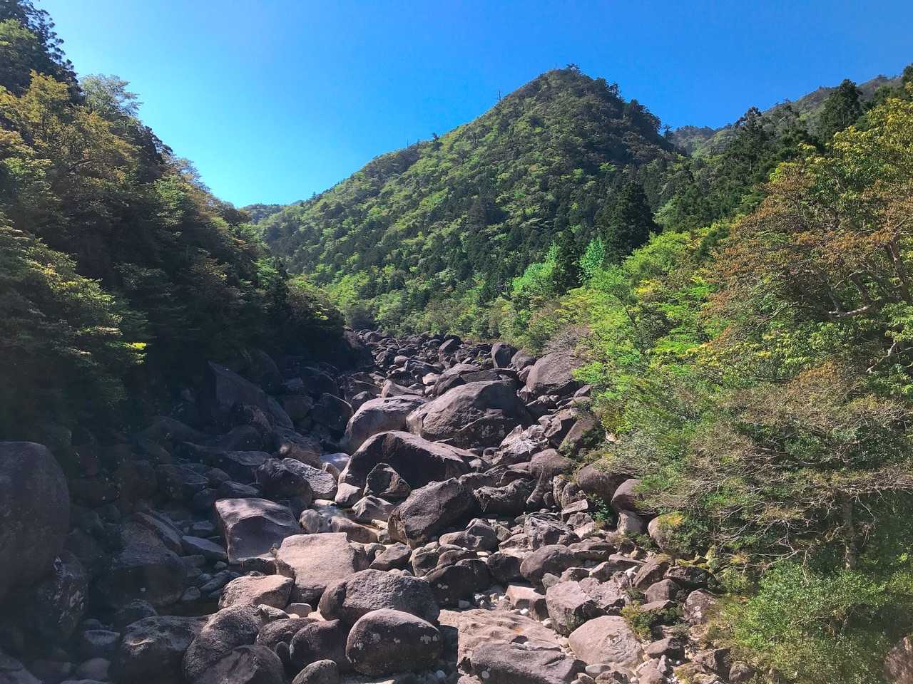 橋からの川の眺め