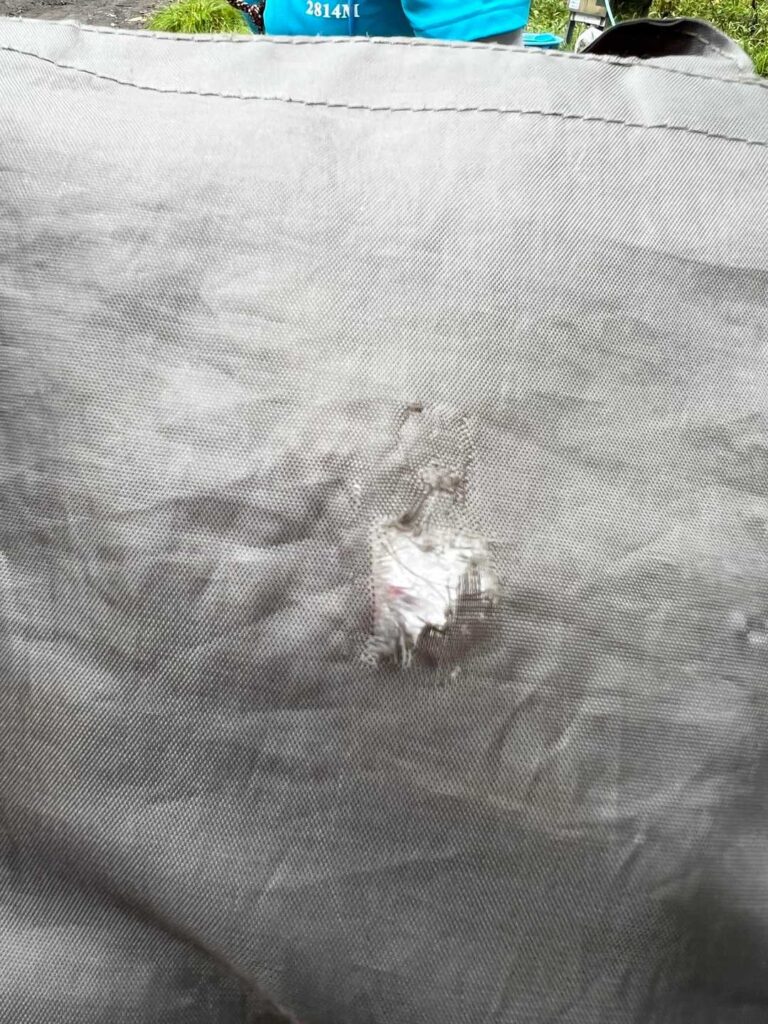 ネズミにかじられた痕跡