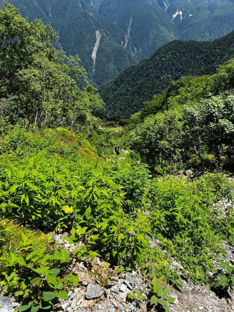 草すべり。やっぱり急勾配