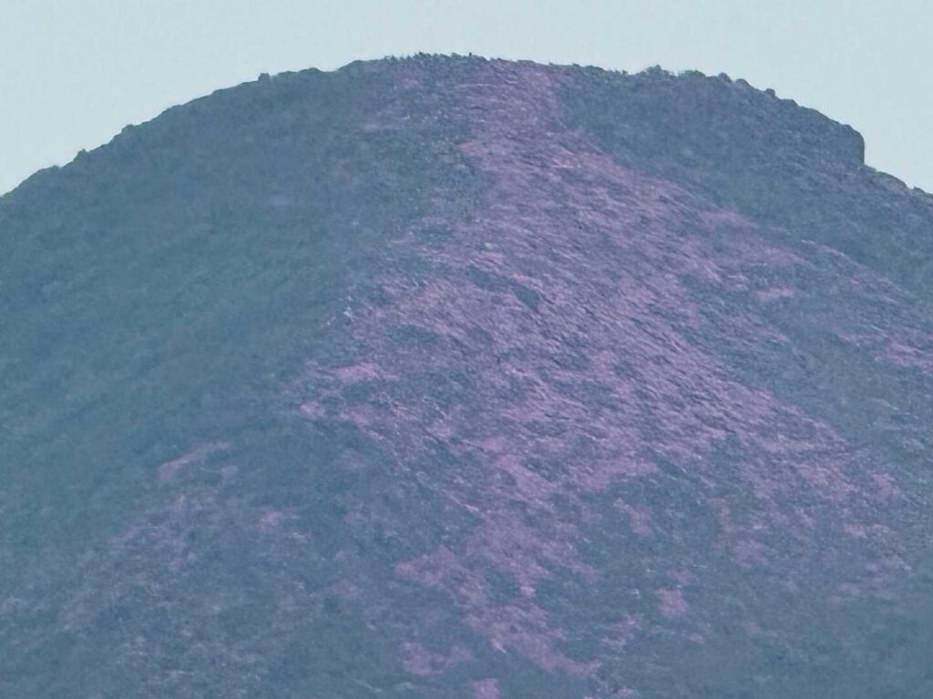 要目視確認