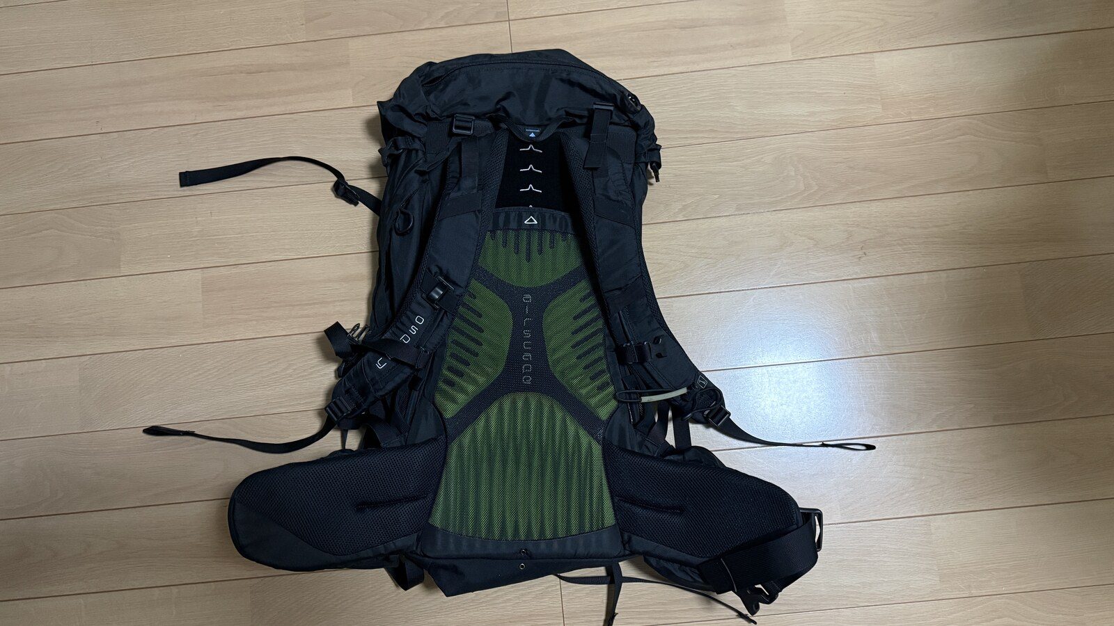 OSPREY Kestrel 38 の背面。メッシュの背面パネル