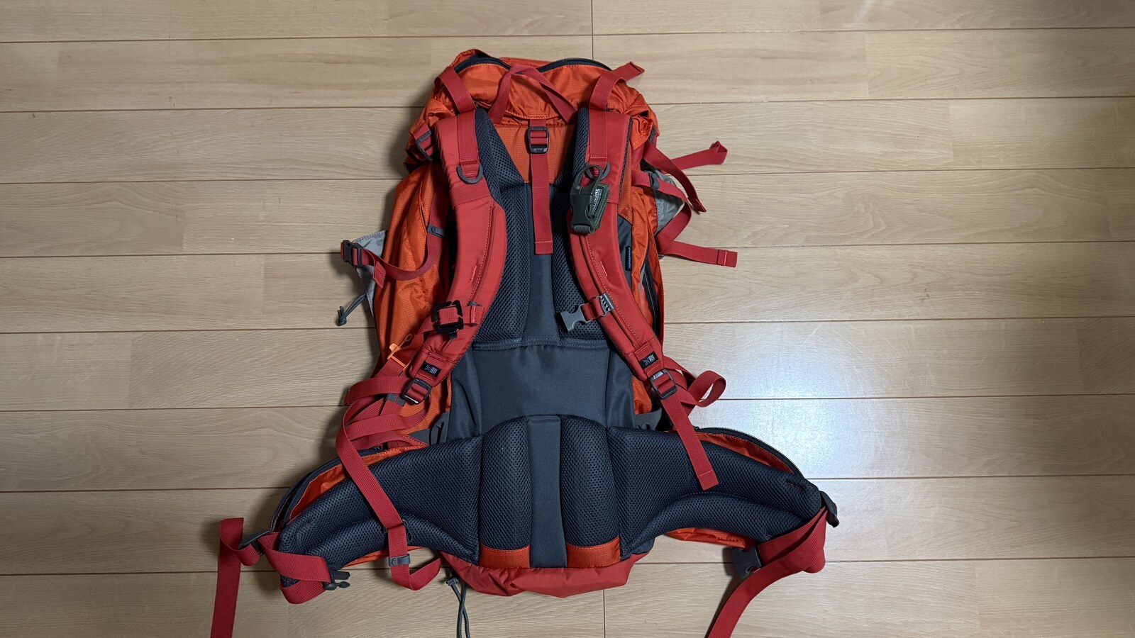 karrimor ridge 50+ の背面。厚いショルダーベルトと腰ベルト