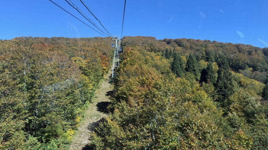 ゴンドラの窓から。途中から紅葉の赤が見えてきます