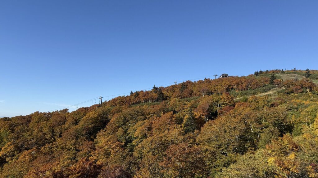 帰りのゴンドラから、紅葉の山を眺めて